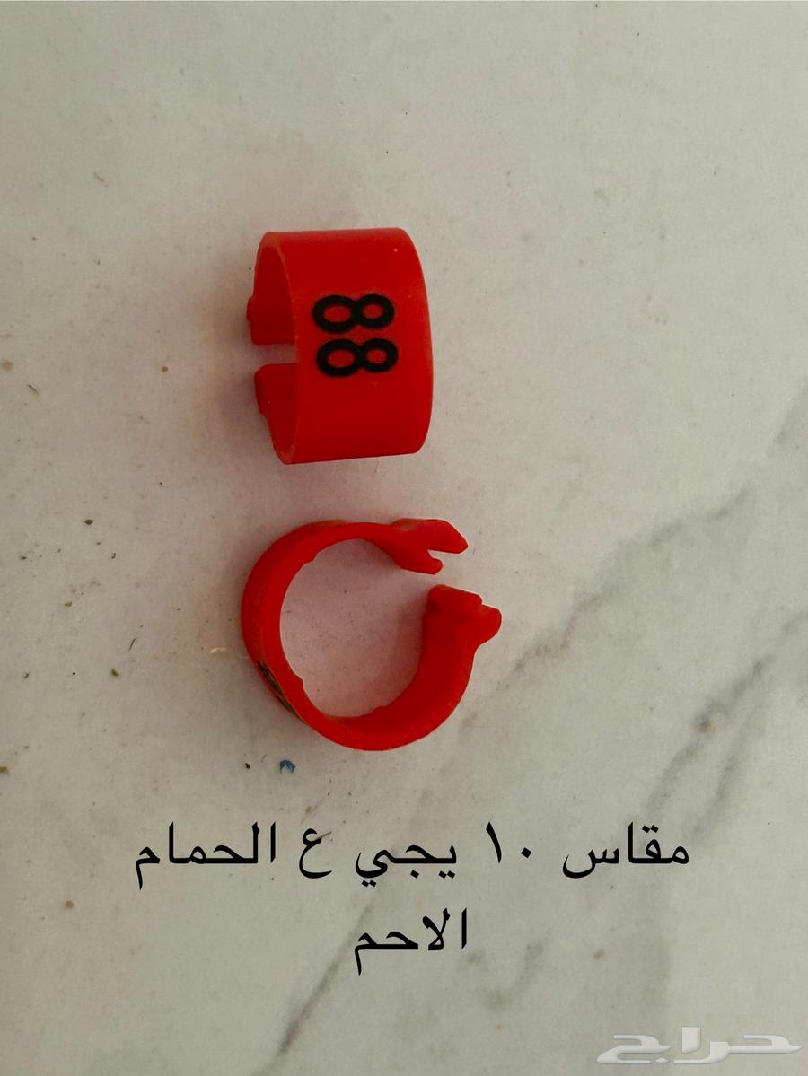 حجول كبس بلاستيك مرقم من 1 الى 10064396519881986113