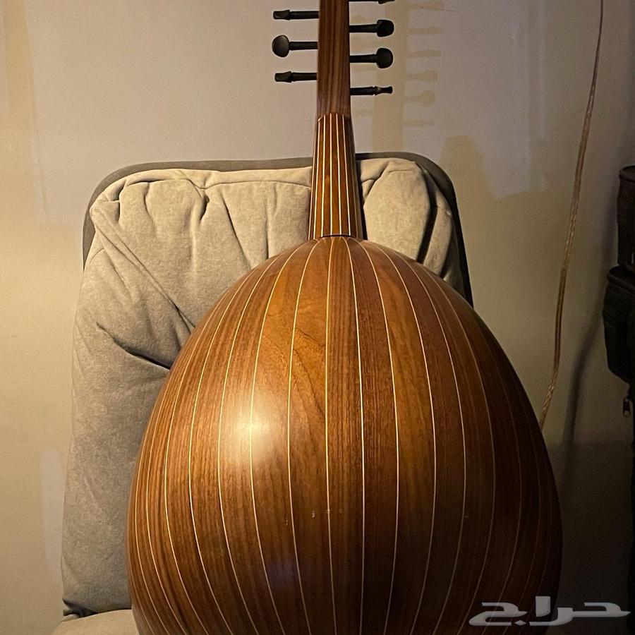 عود تركي فئة احترافي للبيع64400203783042110
