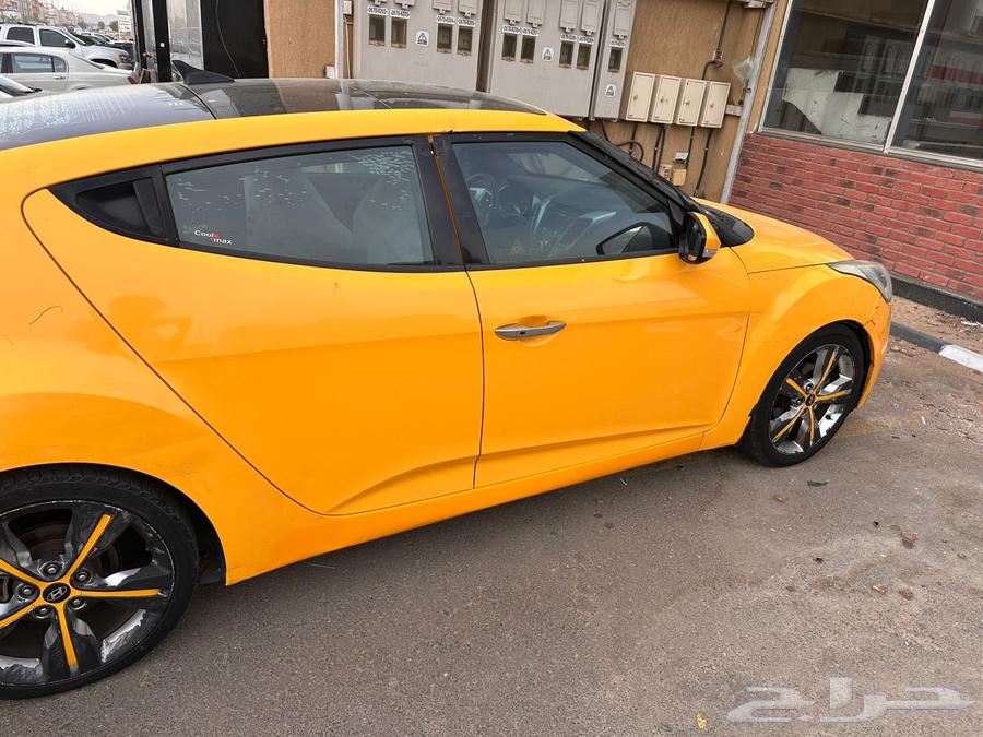 Fluster 2016 (Yellow) Sport63618142936066112