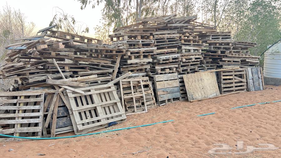 طبليات خشب للبيع64392964395265112