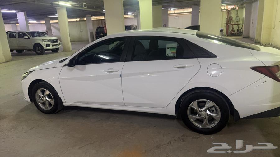 Natra 2027 Standard64544551793539112