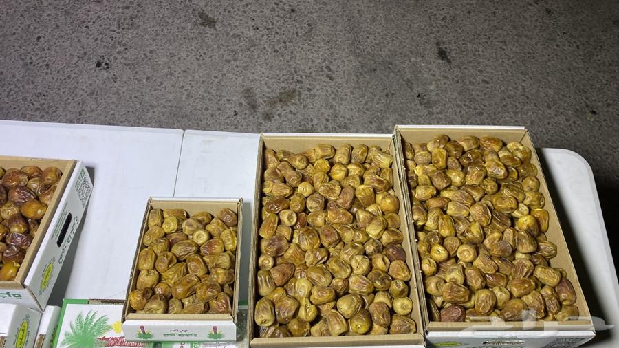 Sugary Dates64400939126786110