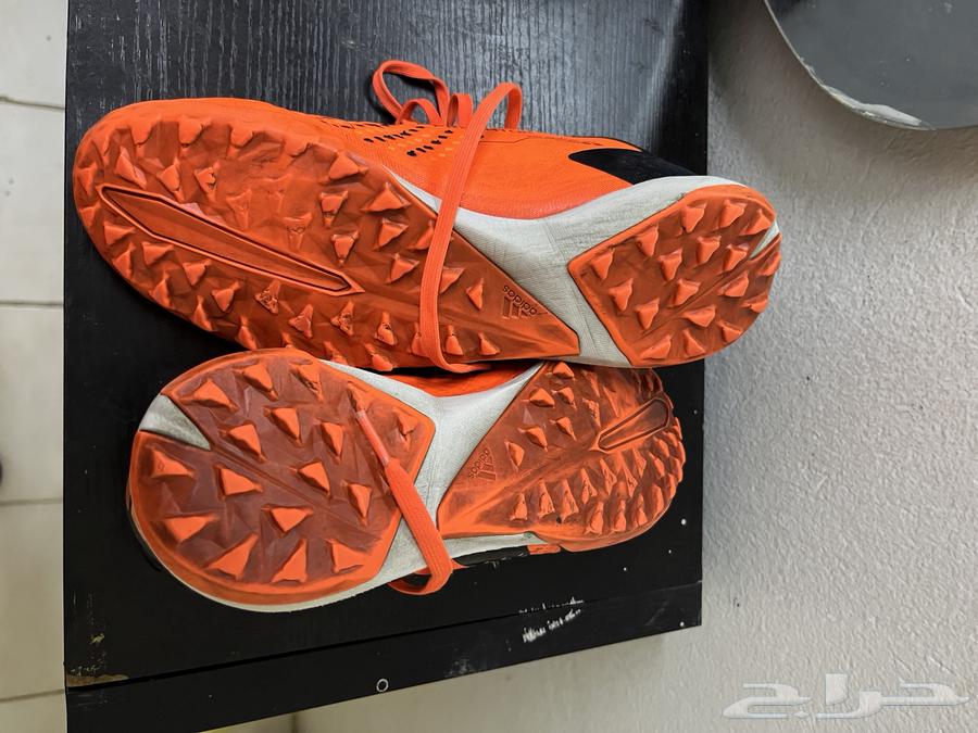 Kora Bot64396769463553114