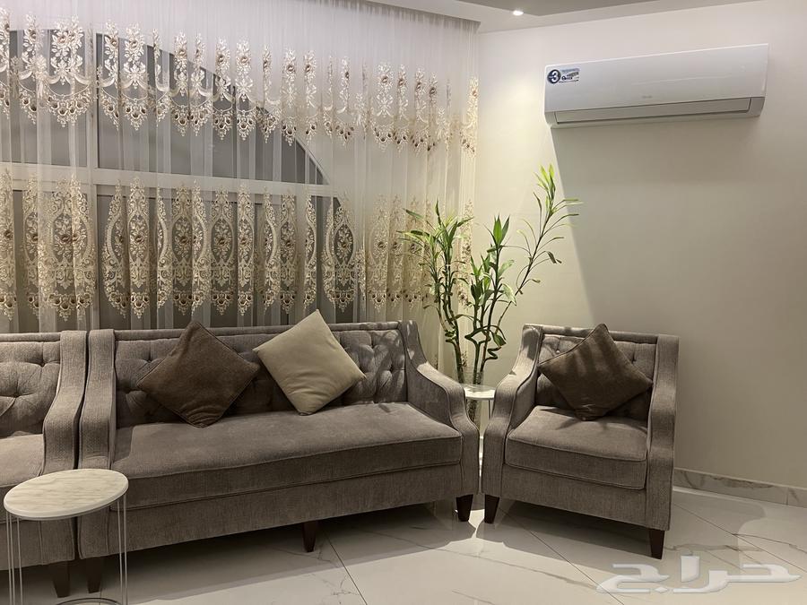 كنب نظيف جدا64398589331458111