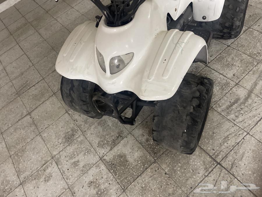 دباب للبيع64398827974529113