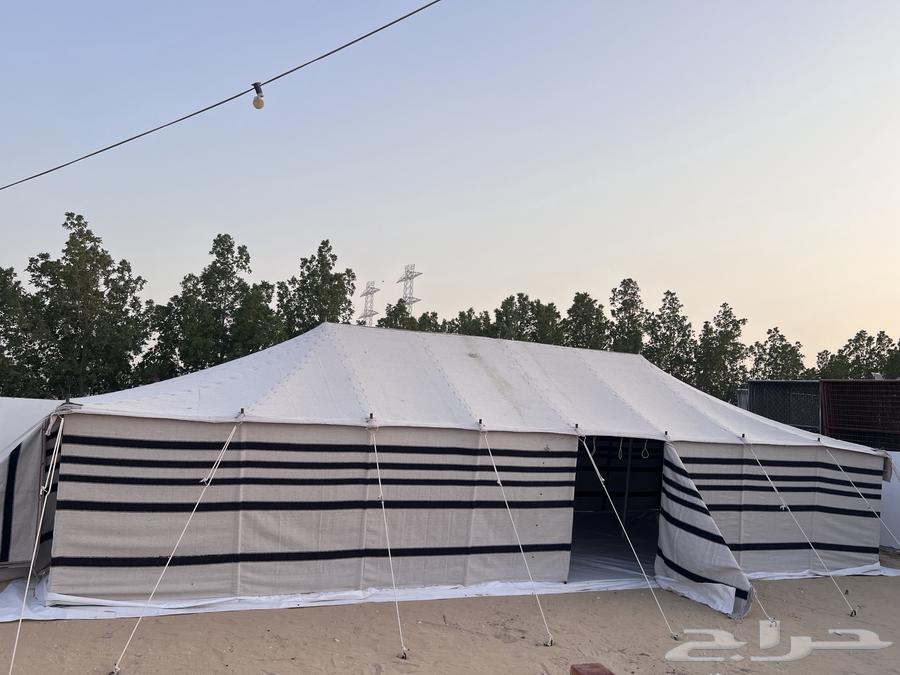 بيت شعر جديد64393073115139110