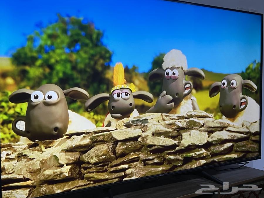 شاشه تلفزيون64397894377987111