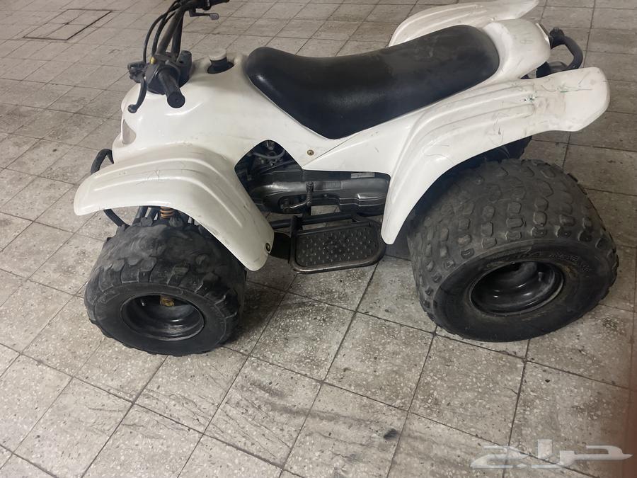 دباب للبيع64398827974529110