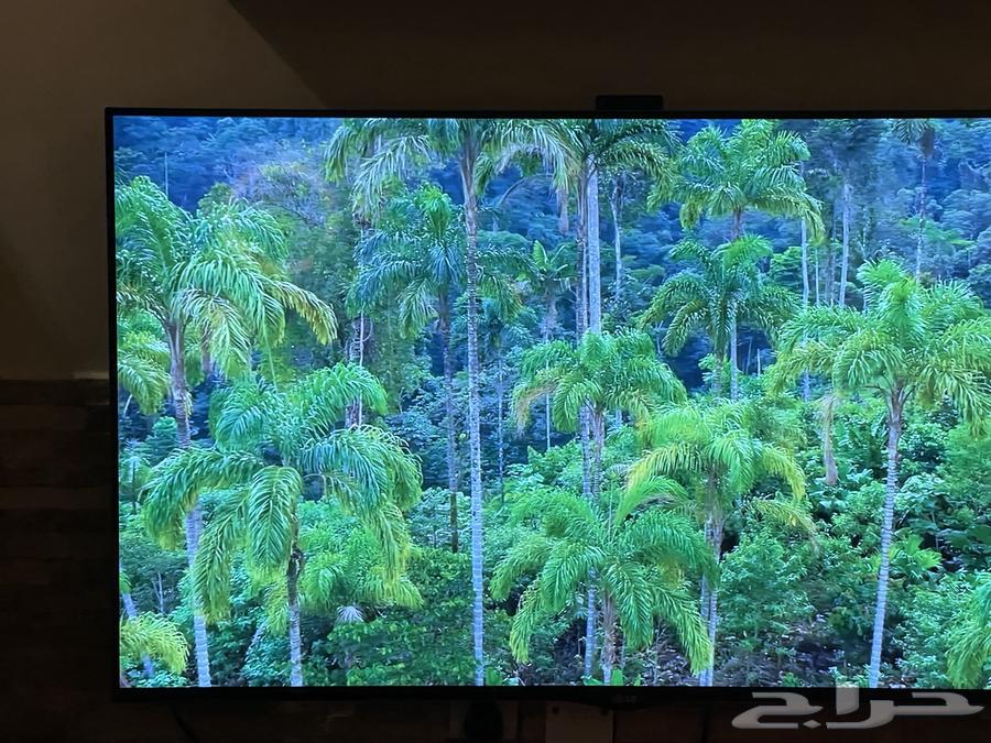 شاشه ال جي سمارت 3D 55بوصه64396379661825114