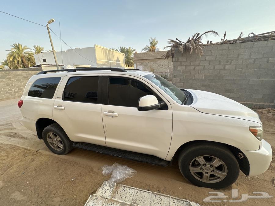 سكويا للبيع 1064551219413762110