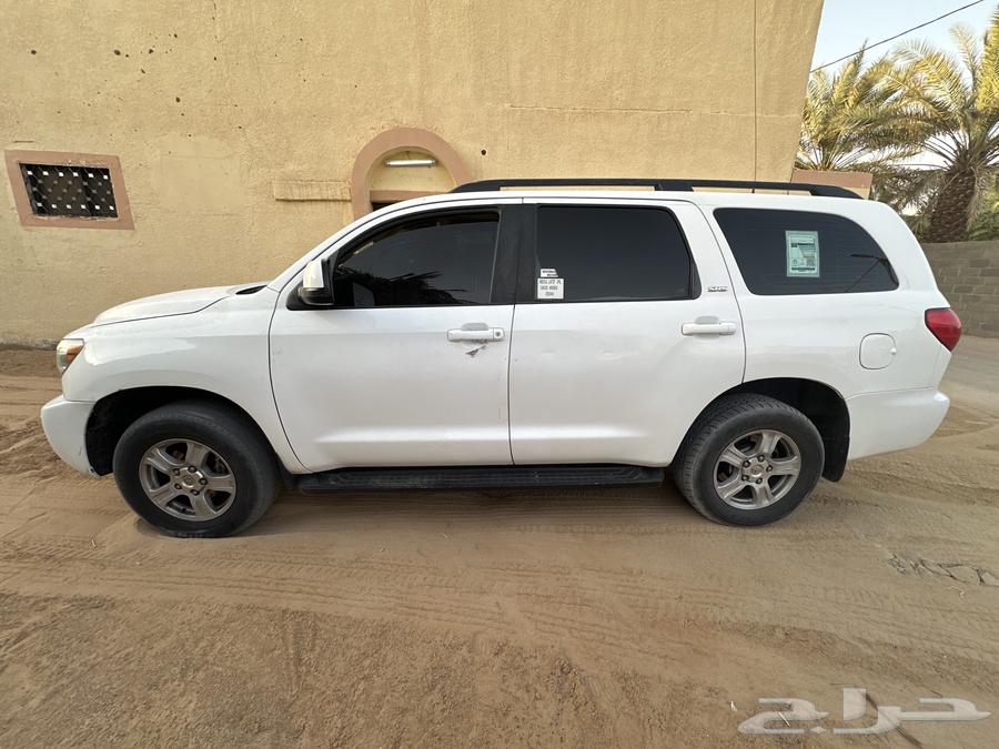 سكويا للبيع 1064551219413762111