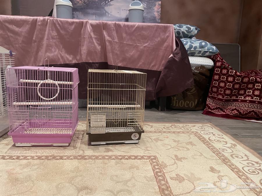 قفصين ب 20 ريال64548981160066110