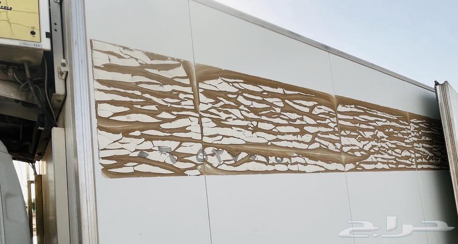 Dina refrigerator with Carrier cooling and freezing unit at -18 degrees64552760680834112