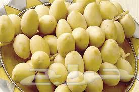 Fresh Mntof Dates 3 Riyals per piece64394123163010110