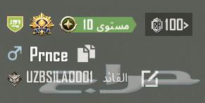 اسم ببجي فخم ( Prnce ) الامير64399605794177110