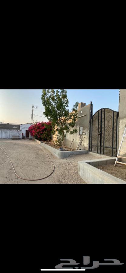 ارض لل ايجار مساحة كبيره حي الحرازات63614094718209112