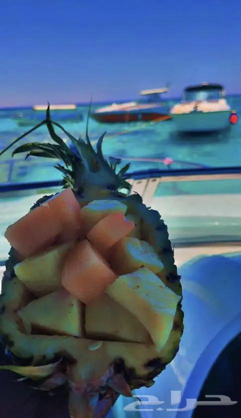 رحلات بحرية مالديف جدة64395601102209110