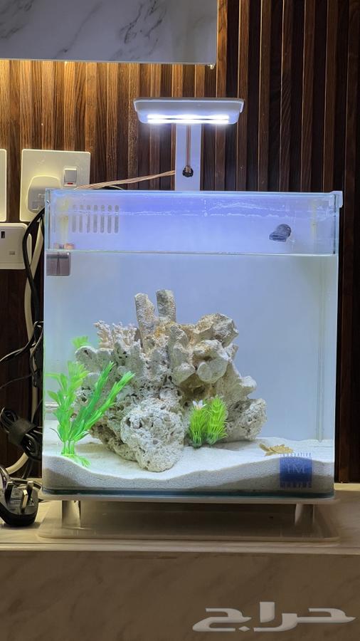 حوض سمك امريكي شركة مارين64396810856706112