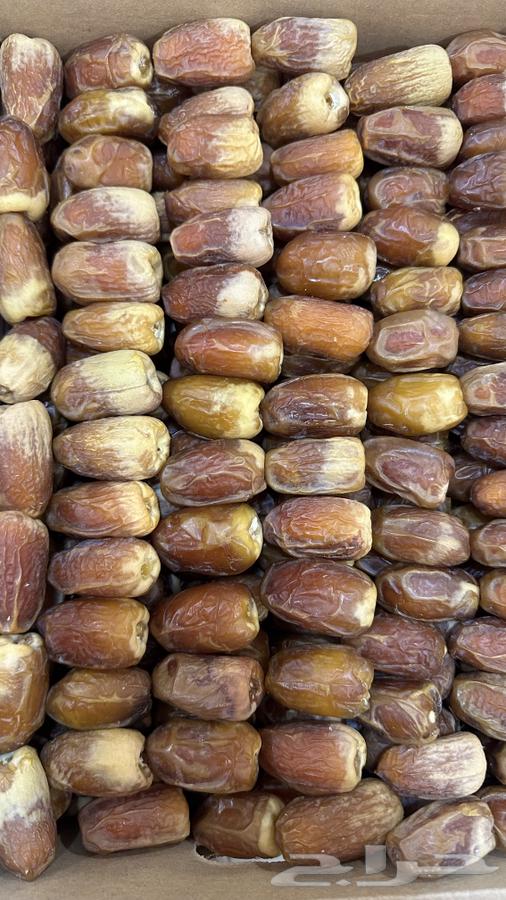 تمر صقعي بدون كيماوي64398451434627110