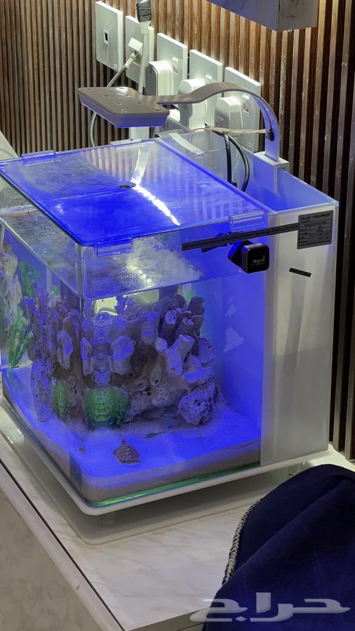 حوض سمك امريكي شركة مارين64396810856706114