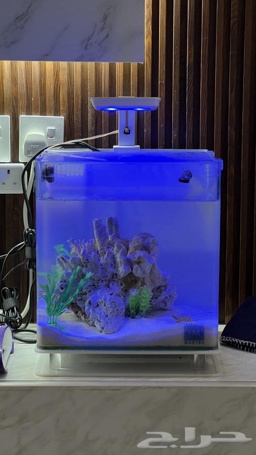 حوض سمك امريكي شركة مارين64396810856706110