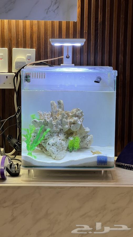 حوض سمك امريكي شركة مارين64396810856706111