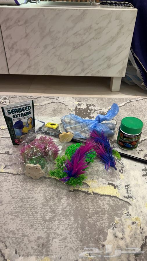 حوض سمك امريكي شركة مارين64396810856706113