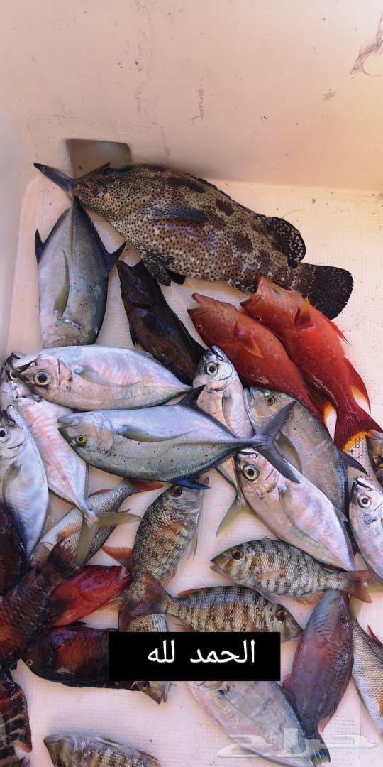 رحلات بحرية مالديف جدة64395601102209114