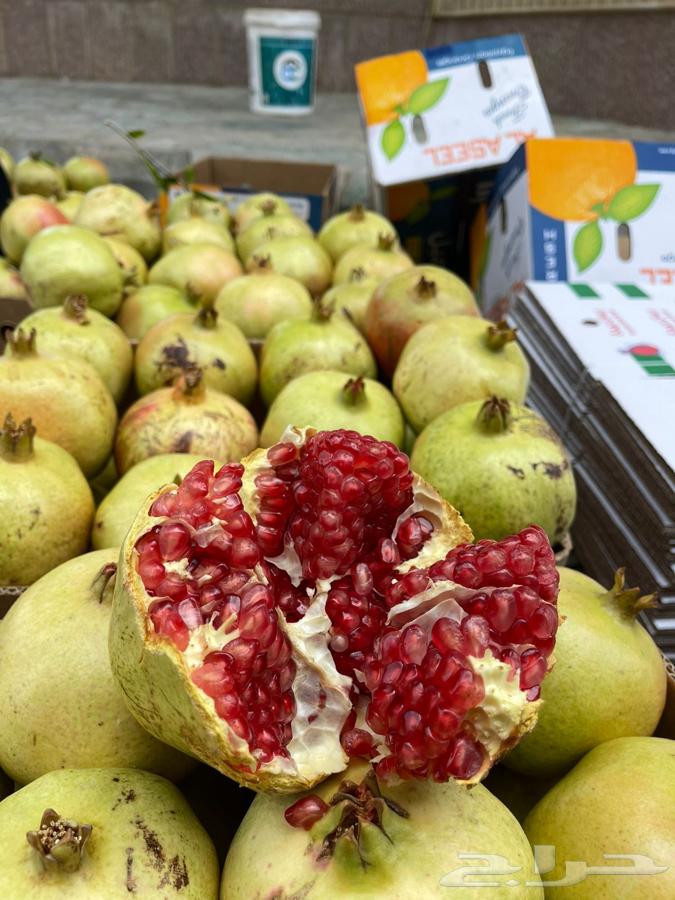 رمان الباحه64399689735683110