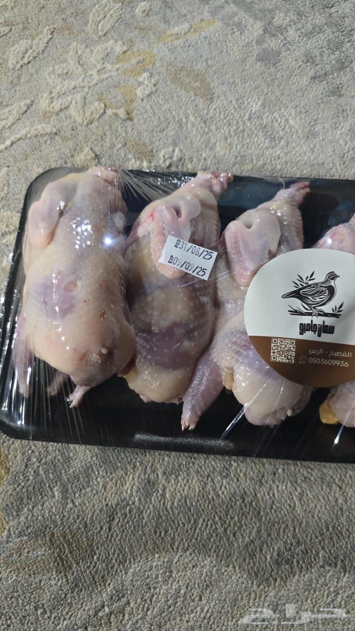 متوفر سمان فري جامبو64375572438145111