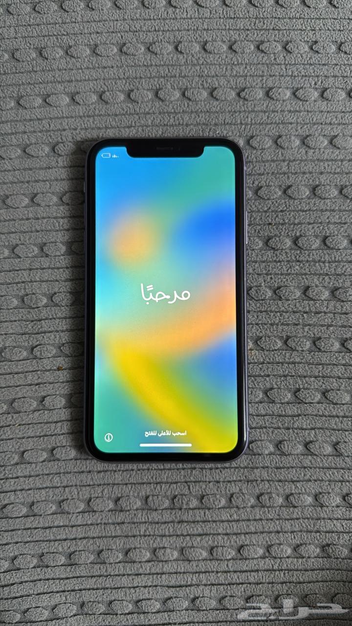 iPhone 11 Regular64393873878529111