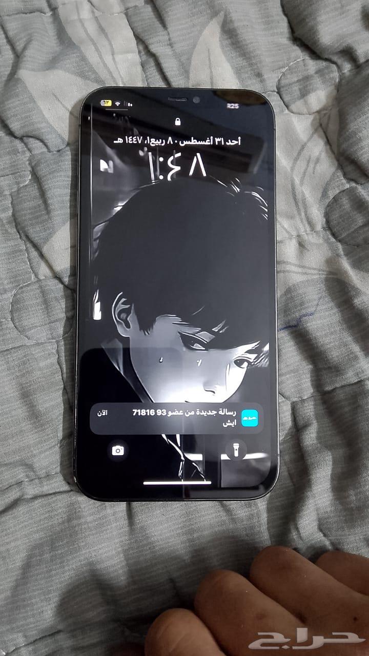 iPhone 12 Pro Max 25664393417534209114