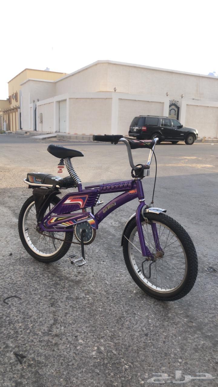 سيكل بنفسجي اندنوسي64401021945857111