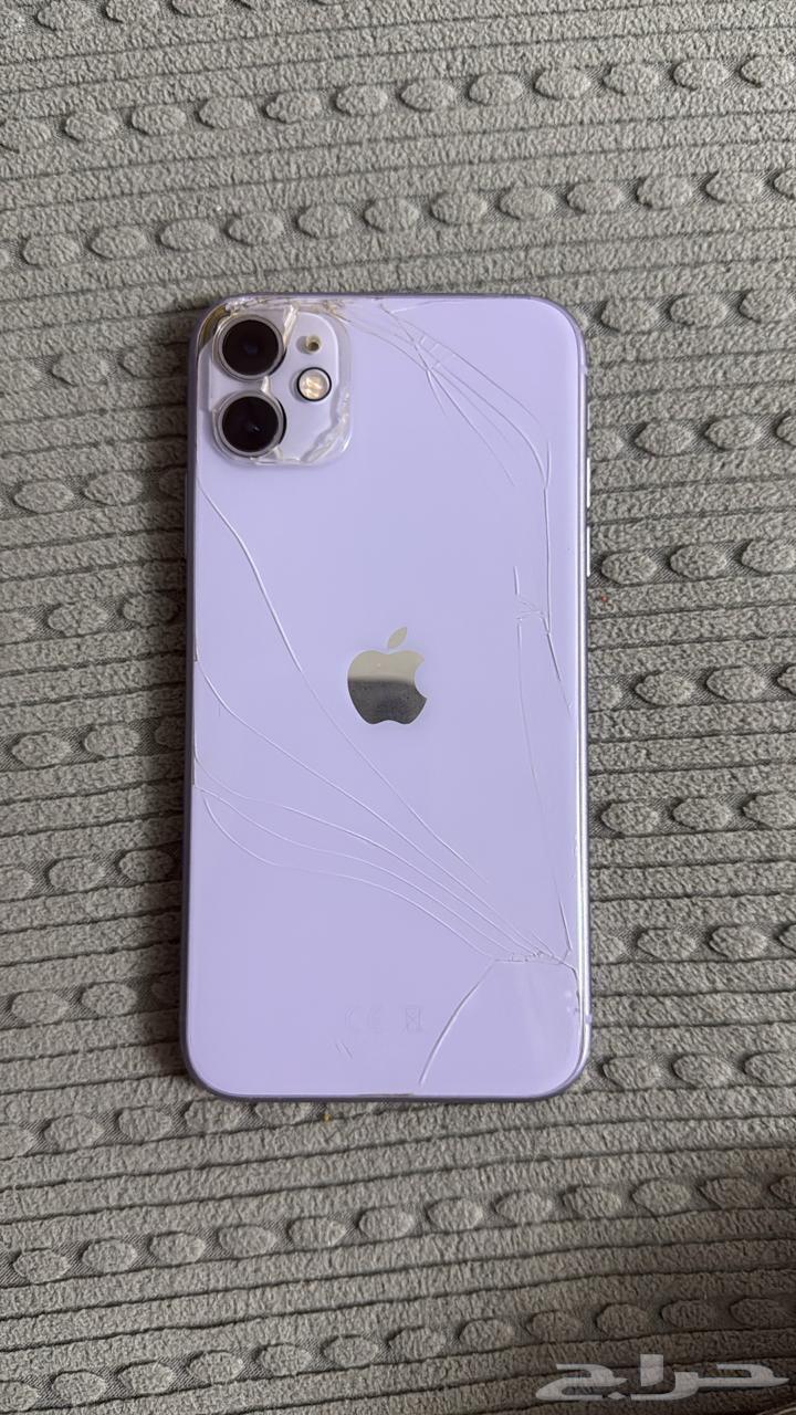 iPhone 11 Regular64393873878529110