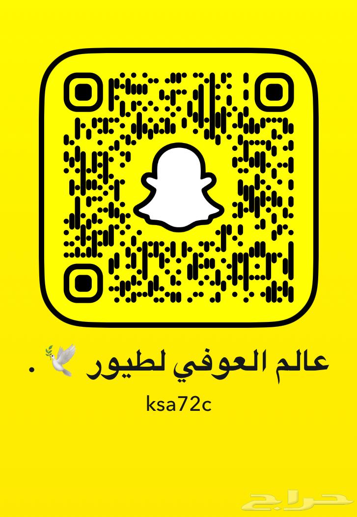 Internal and external threat bird rose end of the day64394317345795112