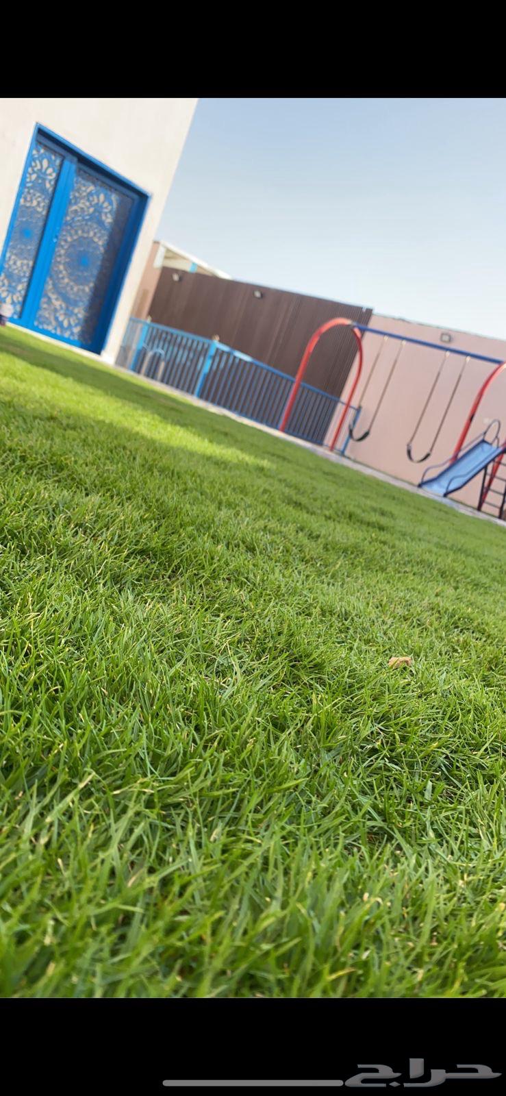 شاليهات جنوب الرياض حي عريض عرض اليوم 20064394427486593113