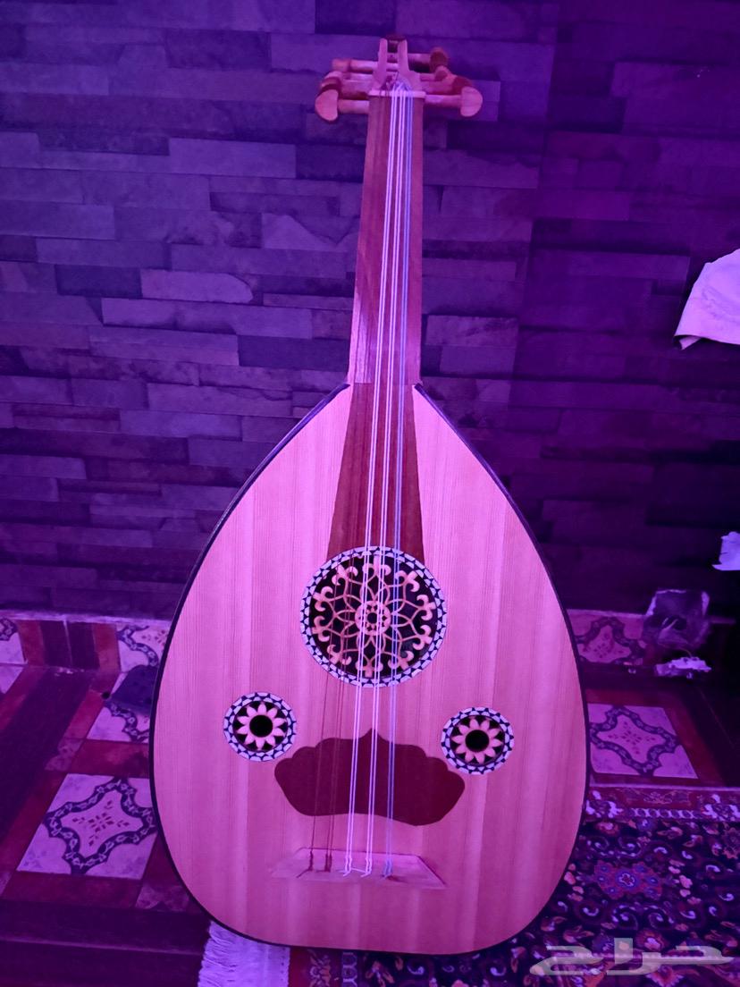 عود مصري للبيع64394400467969110