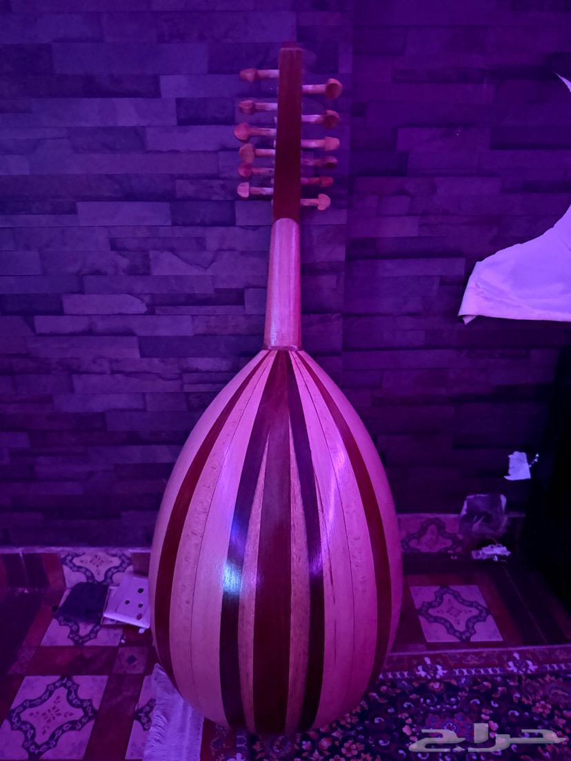 عود مصري للبيع64394400467969111