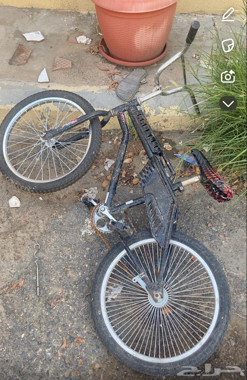 سيكل مقاس 20 ب 50 ريال الموقع الطائف تحديدا الحويه64401244464770110