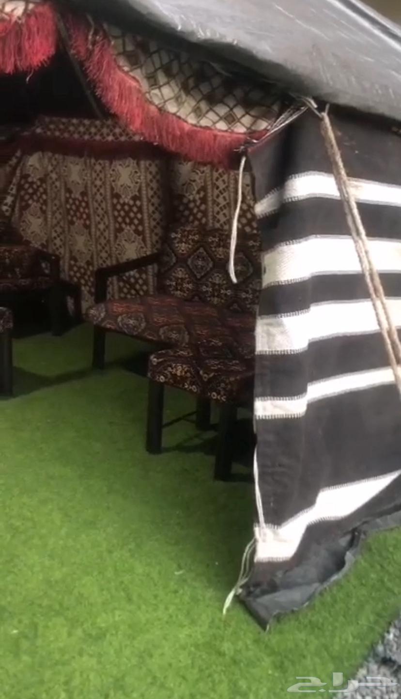 بيت شعر للبيع مقاس 3في4 بدون الكراسي و الطاولات64398715517185110