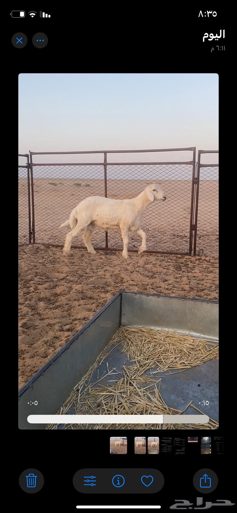 طلي للبيع64396295750401111