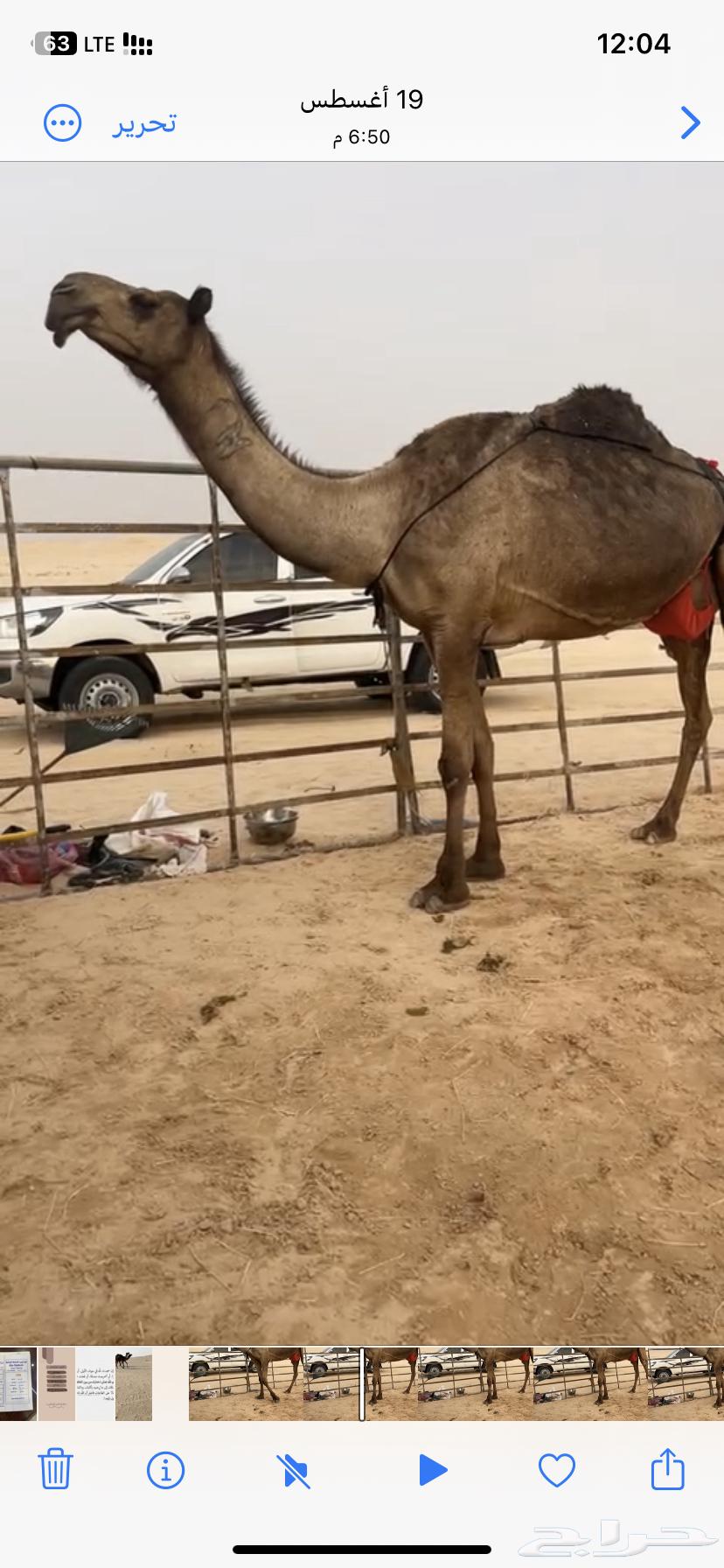 Purchasing a product64392498195203111