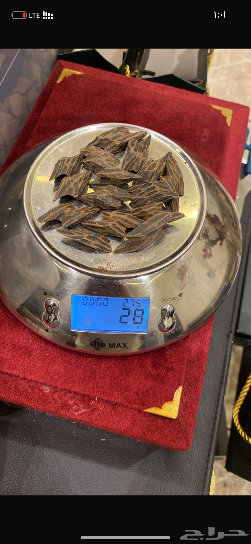 تايقر درجة أولى64397659025665111