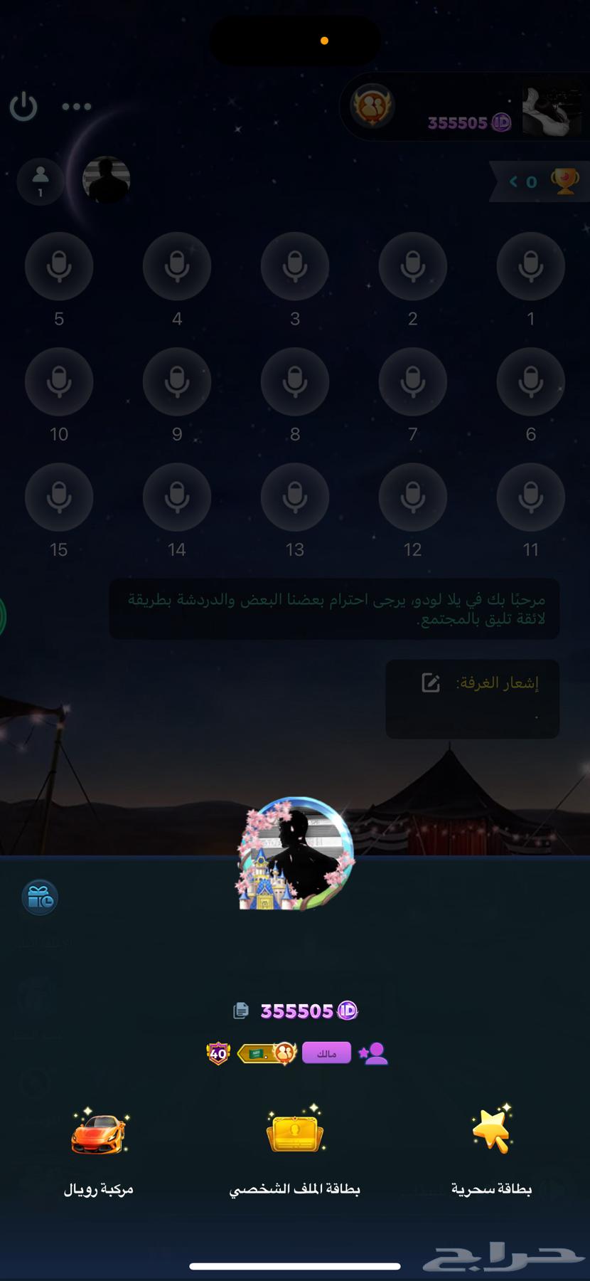 Account for sale in the Yalla Ludo app (exclusive hands and palace frame)64396658454273114