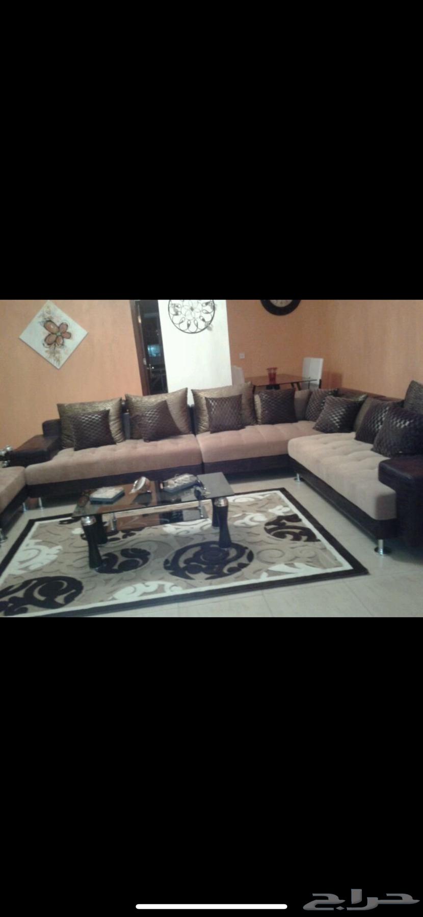 كنب ماركة ديموس64393182884099110