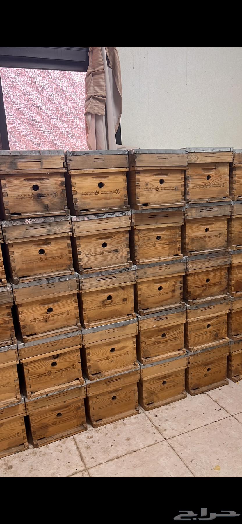 Bees64399286182275113