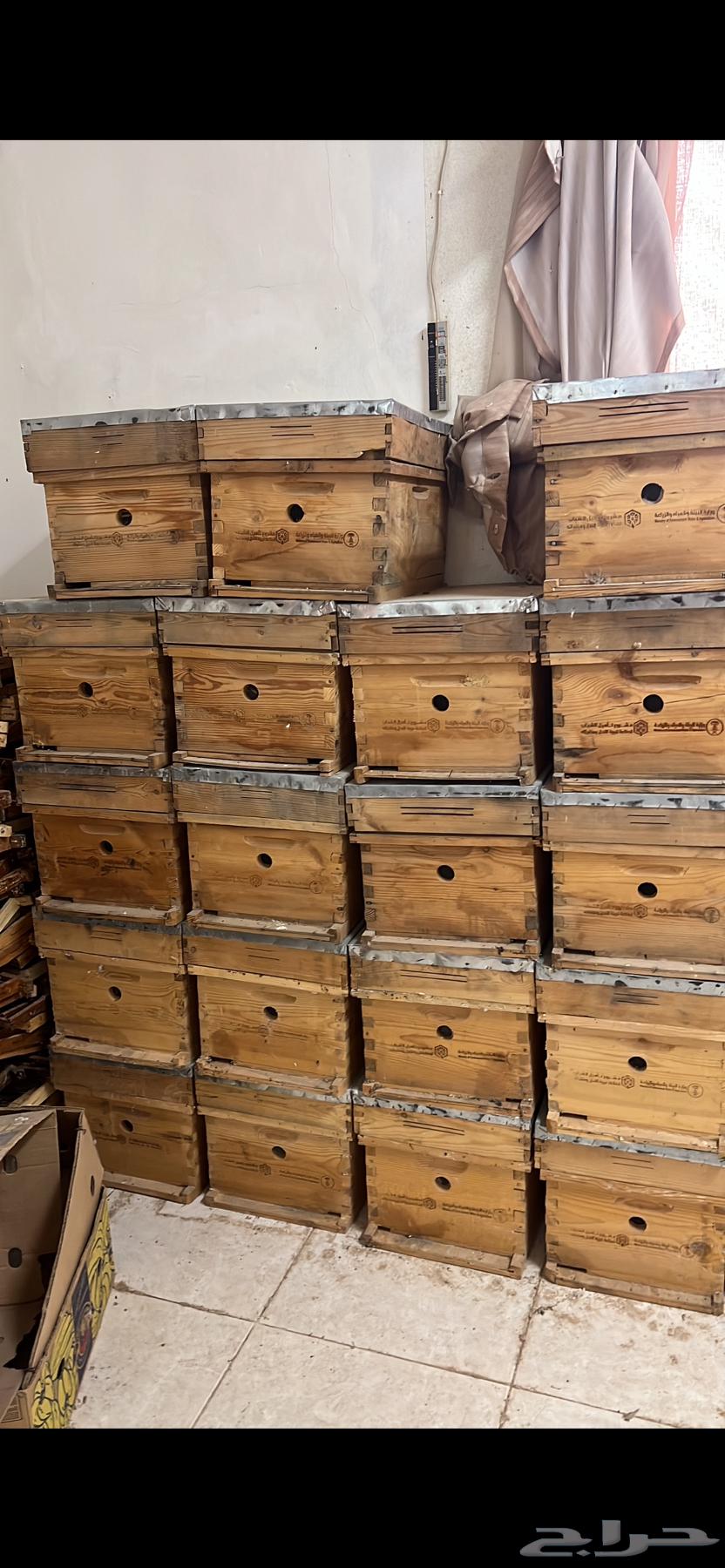 Bees64399286182275110