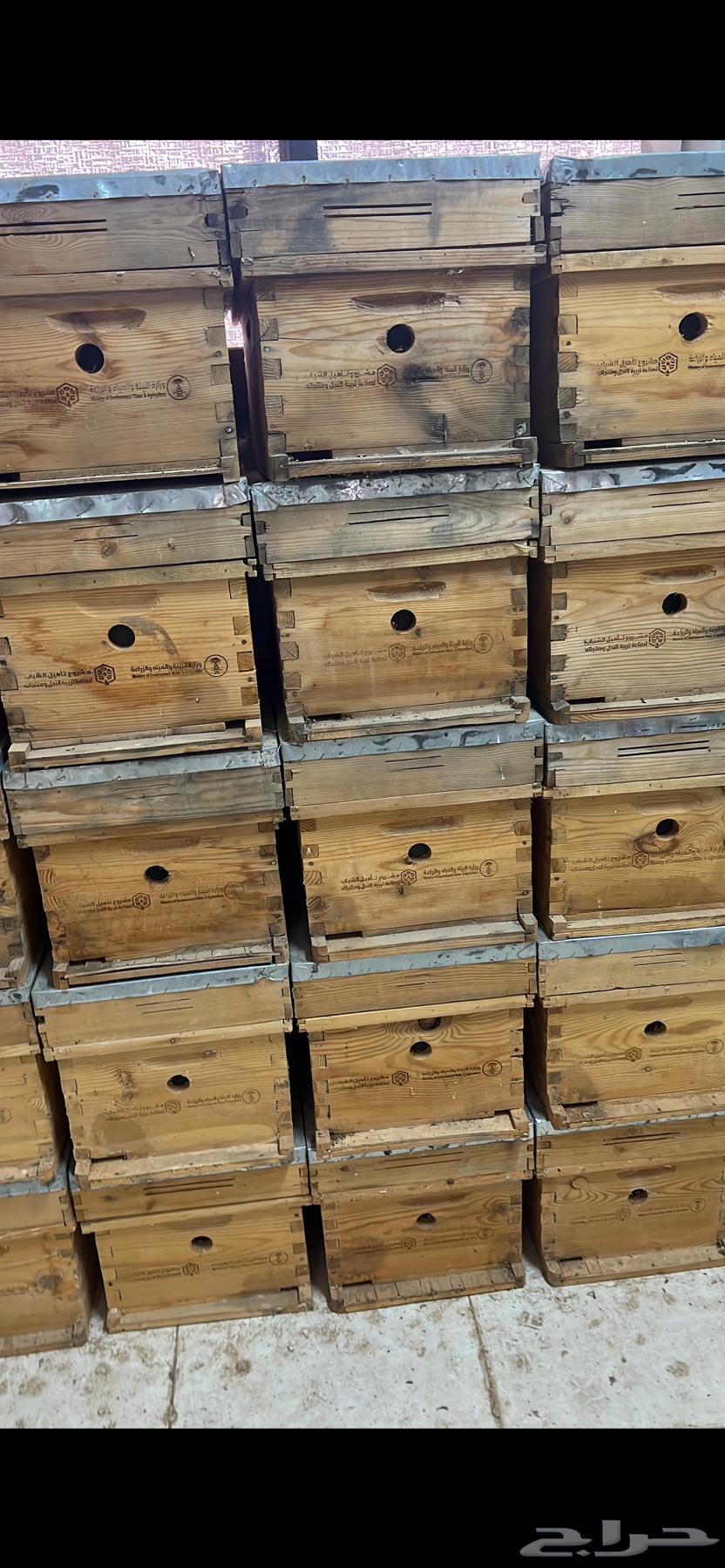 Bees64399286182275111