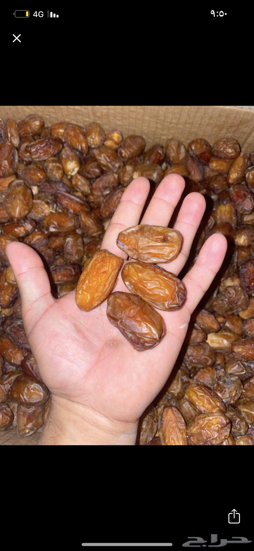 تنك تمر للبيع64400147918595112