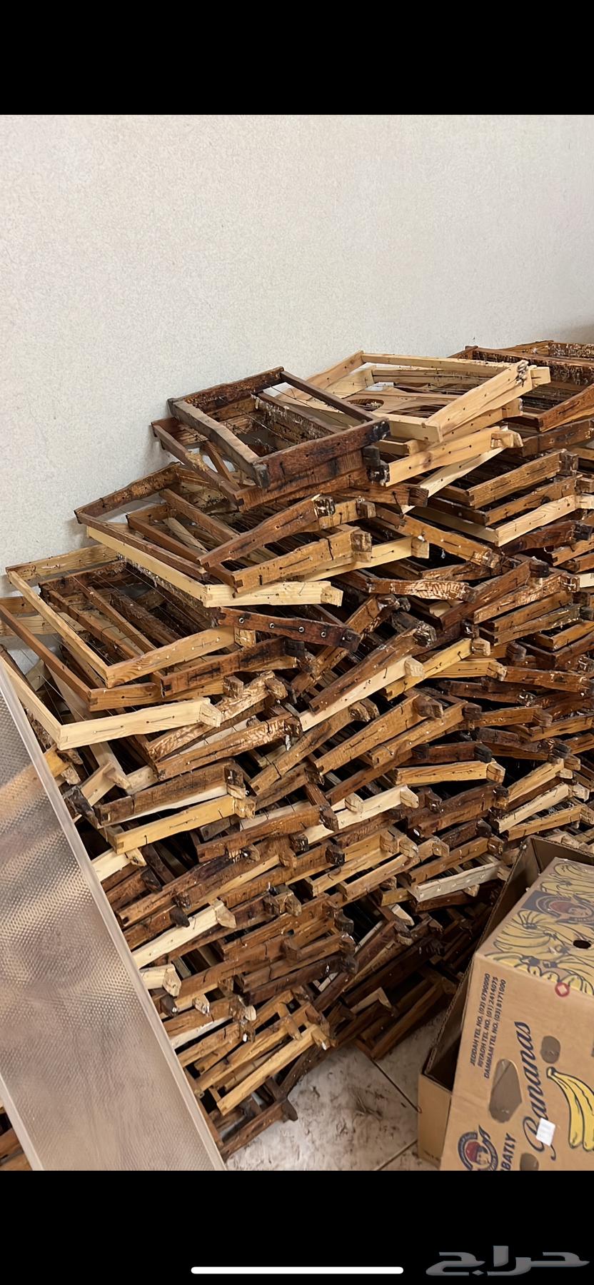 Bees64399286182275112